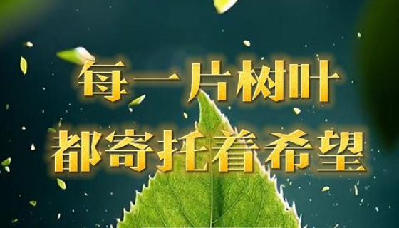 每一片樹葉都寄托著希望