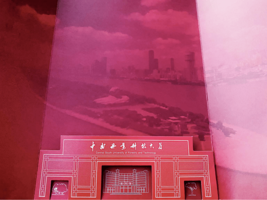 湖南各高校錄取通知書來了！哪一款是你的？(圖17)