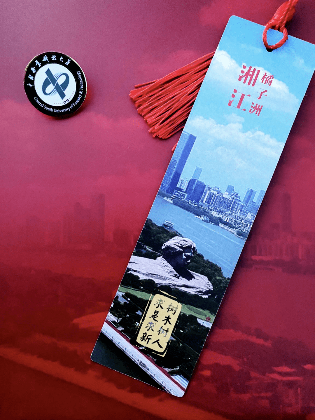 湖南各高校錄取通知書來了！哪一款是你的？(圖18)